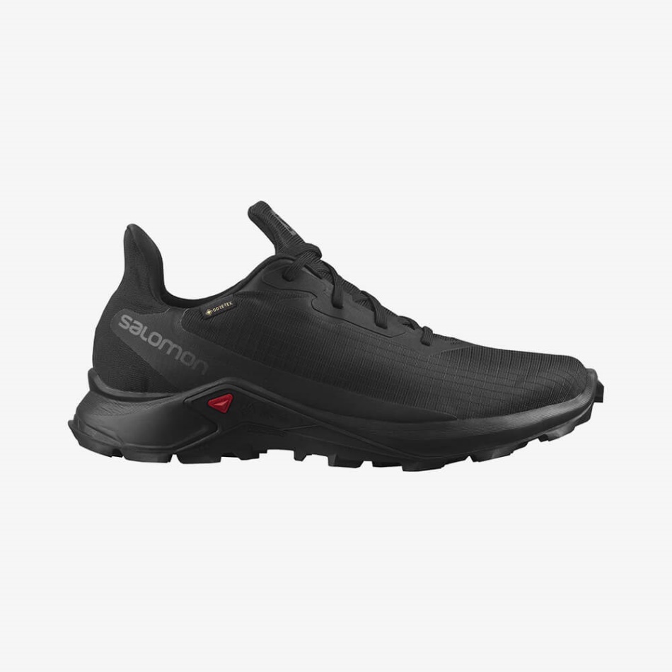ALPHACROSS 3 GTX Negro Calzado