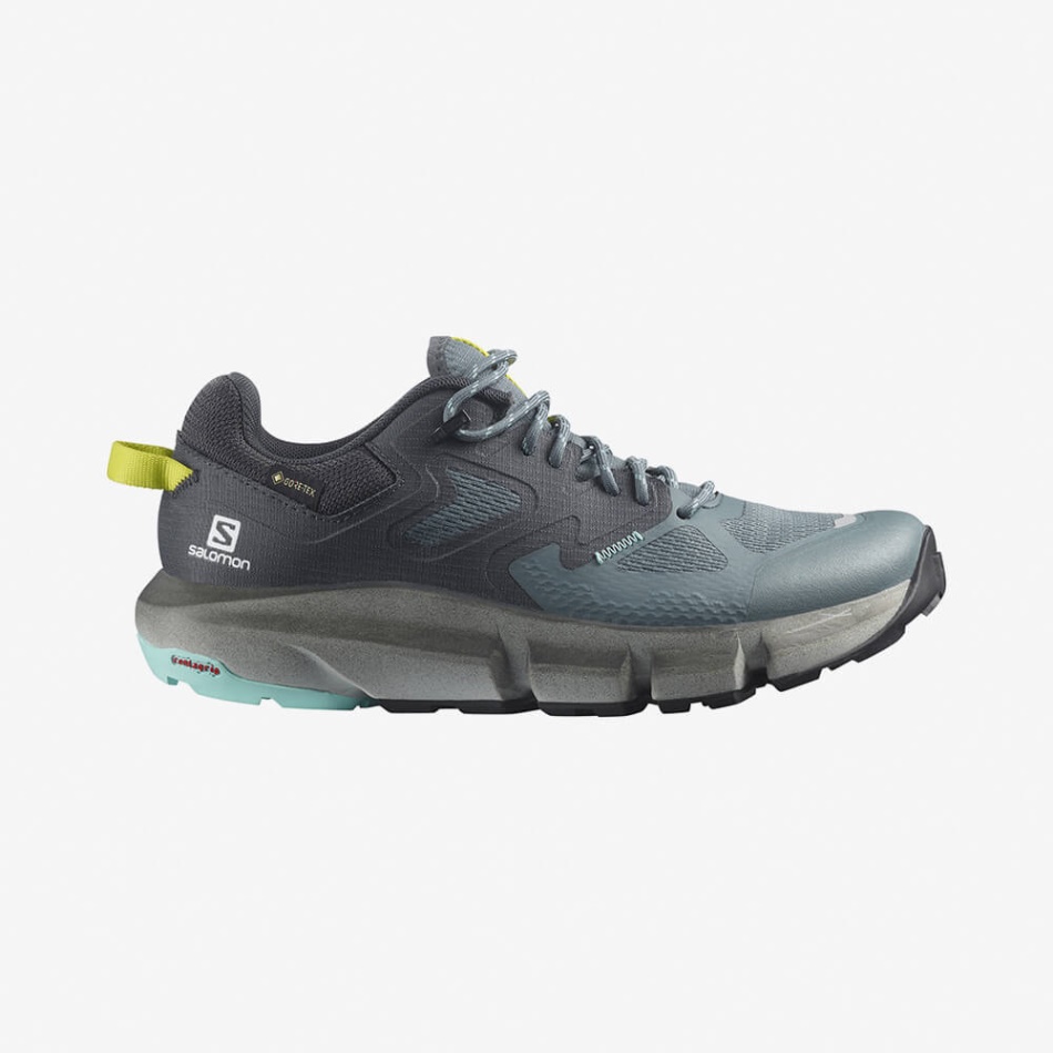 PREDICT HIKE GTX Azul