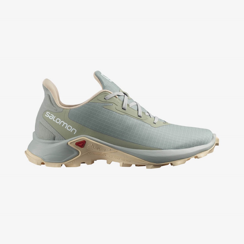 Tenis Alphacross 3 Gris