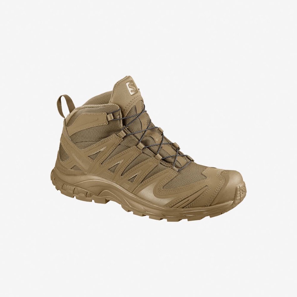 XA FORCES MID Café